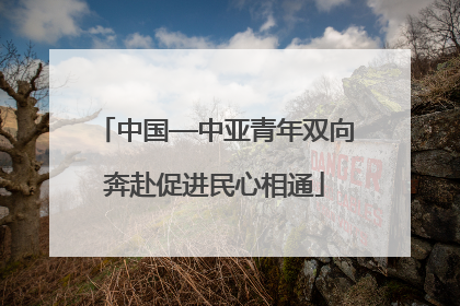 中国—中亚青年双向奔赴促进民心相通