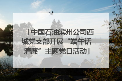 中国石油滨州公司西城党支部开展“端午话清廉”主题党日活动