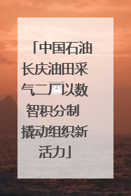 中国石油长庆油田采气二厂以数智积分制 撬动组织新活力