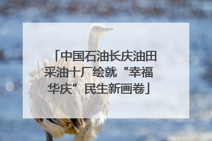中国石油长庆油田采油十厂绘就“幸福华庆”民生新画卷