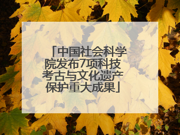 中国社会科学院发布7项科技考古与文化遗产保护重大成果