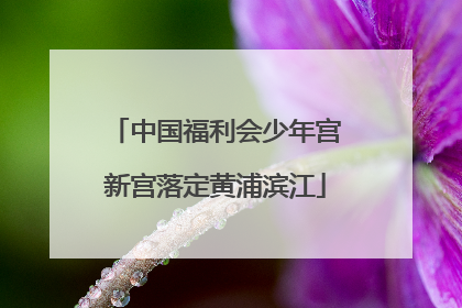中国福利会少年宫新宫落定黄浦滨江
