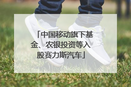 中国移动旗下基金、农银投资等入股赛力斯汽车