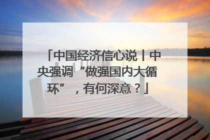 中国经济信心说丨中央强调“做强国内大循环”，有何深意？