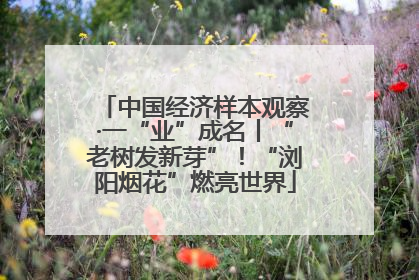 中国经济样本观察·一“业”成名丨“老树发新芽”！“浏阳烟花”燃亮世界