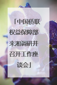 中国侨联权益保障部来湘调研并召开工作座谈会