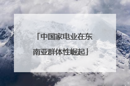 中国家电业在东南亚群体性崛起