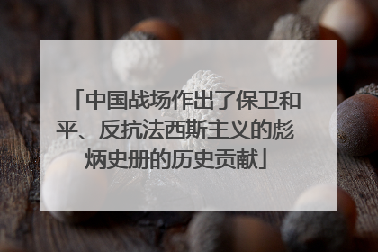 中国战场作出了保卫和平、反抗法西斯主义的彪炳史册的历史贡献