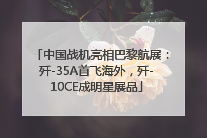中国战机亮相巴黎航展：歼-35A首飞海外，歼-10CE成明星展品
