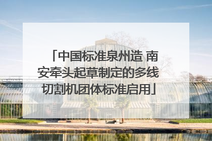 中国标准泉州造 南安牵头起草制定的多线切割机团体标准启用