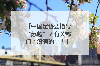 中国足协要指导“苏超”？有关部门：没有的事！