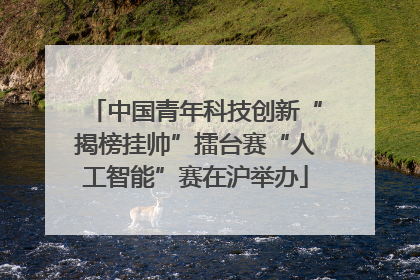 中国青年科技创新“揭榜挂帅”擂台赛“人工智能”赛在沪举办