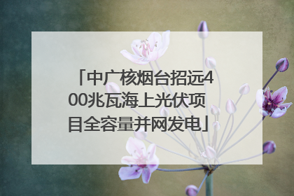中广核烟台招远400兆瓦海上光伏项目全容量并网发电