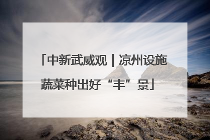 中新武威观｜凉州设施蔬菜种出好“丰”景