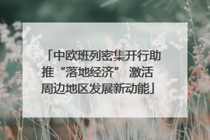 中欧班列密集开行助推“落地经济” 激活周边地区发展新动能