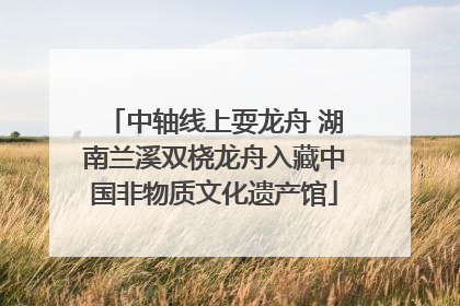 中轴线上耍龙舟 湖南兰溪双桡龙舟入藏中国非物质文化遗产馆