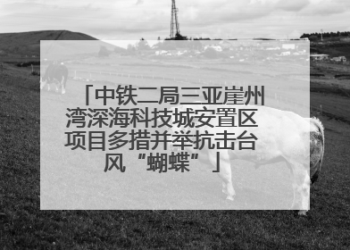 中铁二局三亚崖州湾深海科技城安置区项目多措并举抗击台风“蝴蝶”