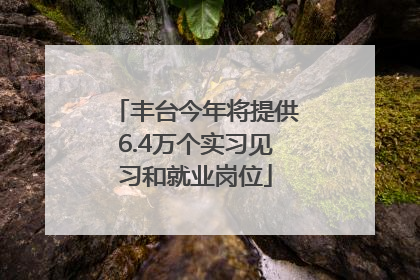丰台今年将提供6.4万个实习见习和就业岗位