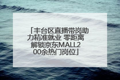 丰台区直播带岗助力精准就业 零距离解锁京东MALL200余热门岗位
