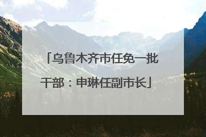 乌鲁木齐市任免一批干部：申琳任副市长