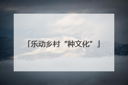 乐动乡村“种文化”