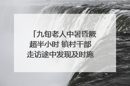 九旬老人中暑昏厥超半小时 镇村干部走访途中发现及时施救｜看见正能量