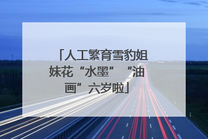 人工繁育雪豹姐妹花“水墨”“油画”六岁啦