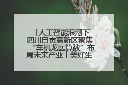 人工智能浪潮下 四川自贡高新区聚焦“车机龙医算数”布局未来产业丨美好生活有“盐”味