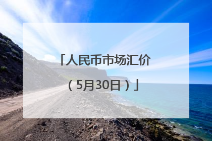 人民币市场汇价（5月30日）