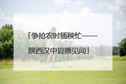 争抢农时插秧忙——陕西汉中夏播见闻