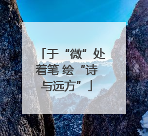 于“微”处着笔 绘“诗与远方”