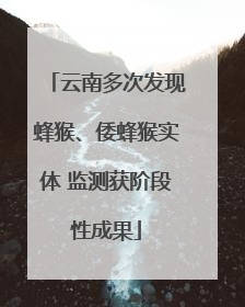 云南多次发现蜂猴、倭蜂猴实体 监测获阶段性成果