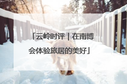 云岭时评｜在南博会体验旅居的美好