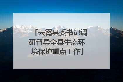 云霄县委书记调研督导全县生态环境保护重点工作