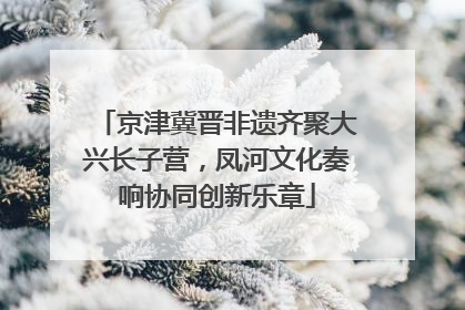 京津冀晋非遗齐聚大兴长子营，凤河文化奏响协同创新乐章