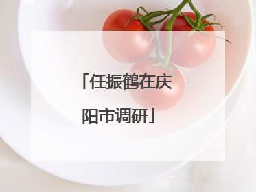 任振鹤在庆阳市调研