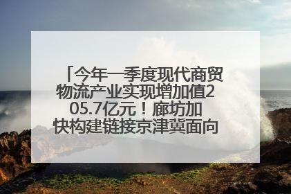 今年一季度现代商贸物流产业实现增加值205.7亿元！廊坊加快构建链接京津冀面向全世界的物流通道