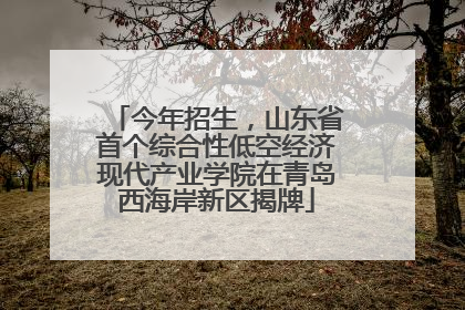 今年招生，山东省首个综合性低空经济现代产业学院在青岛西海岸新区揭牌