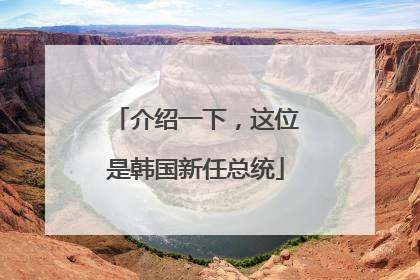 介绍一下，这位是韩国新任总统