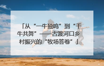 从“一牛独鸣”到“千牛共舞”——古渡河口乡村振兴的“牧场答卷”