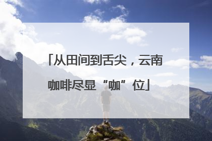 从田间到舌尖，云南咖啡尽显“咖”位
