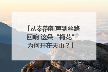 从秦韵新声到丝路回响 这朵“梅花”为何开在天山？