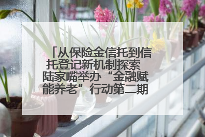 从保险金信托到信托登记新机制探索 陆家嘴举办“金融赋能养老”行动第二期行业交流会