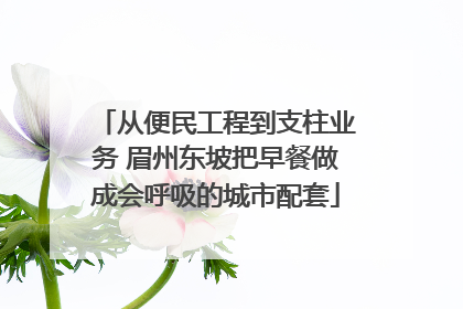 从便民工程到支柱业务 眉州东坡把早餐做成会呼吸的城市配套