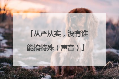 从严从实，没有谁能搞特殊（声音）