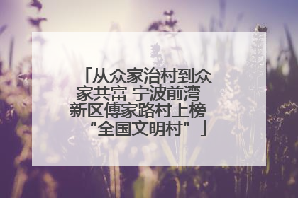 从众家治村到众家共富 宁波前湾新区傅家路村上榜“全国文明村”