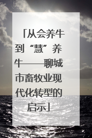 从会养牛到“慧”养牛——聊城市畜牧业现代化转型的启示