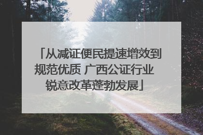 从减证便民提速增效到规范优质 广西公证行业锐意改革蓬勃发展