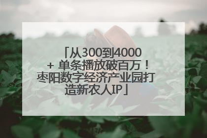 从300到4000+ 单条播放破百万！枣阳数字经济产业园打造新农人IP