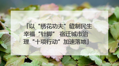 以“绣花功夫”缝制民生幸福“针脚” 宿迁城市治理“十项行动”加速落地